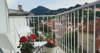 FARIS is a bright centrally located apartment with nice danube and city view