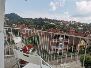 Property grounds - FARIS is a bright centrally located apartment with nice danube and city view (Donji Milanovac)