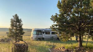 Un camping-car blanc est garé dans un champ verdoyant, avec des arbres et un ciel dégagé.