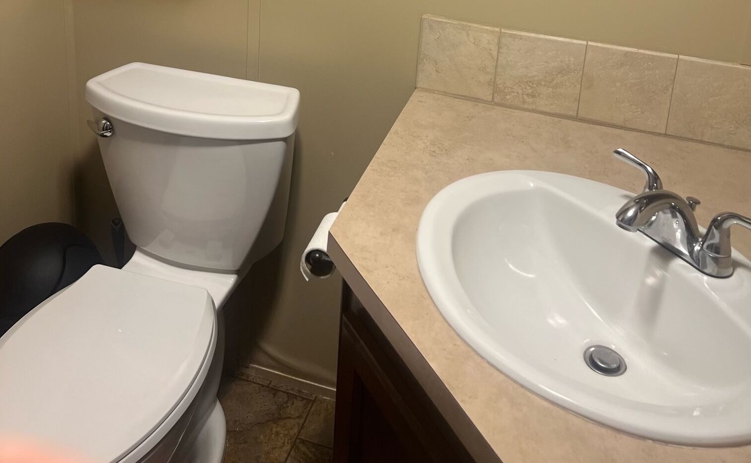 A bathroom with a toilet and a sink.