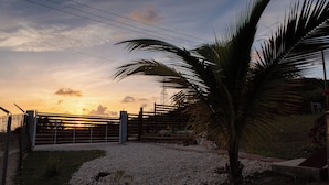 Ein Sonnenuntergang mit einer Palme, einem Zaun und einer Schotterfläche.