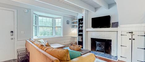 TV, fireplace, books