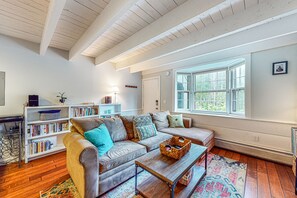 TV, fireplace, books