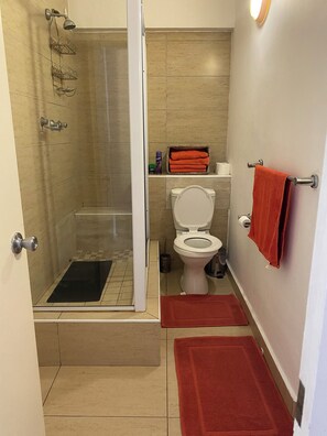 Shower, towels, toilet paper