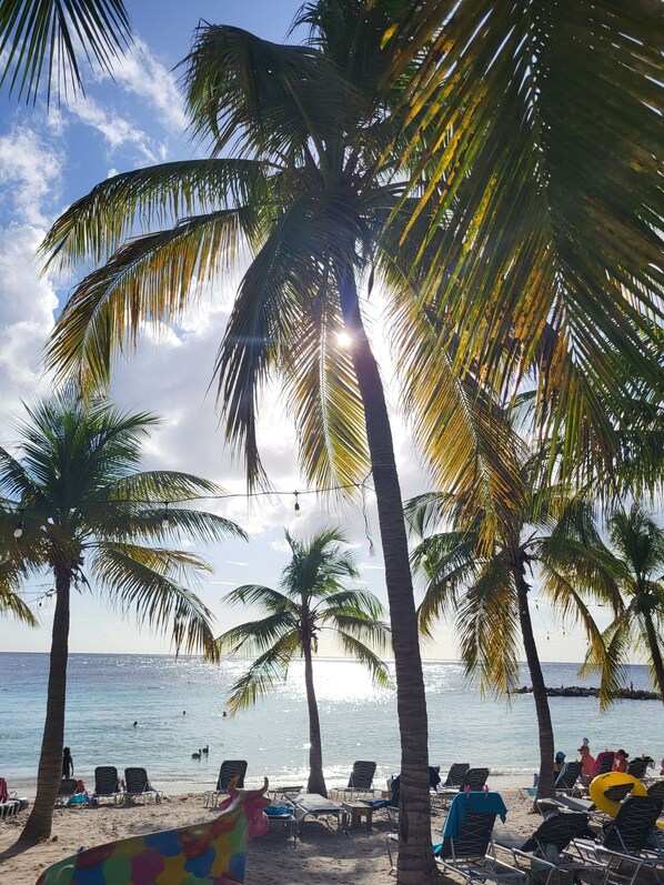 Een strand met palmbomen, ligbedden en uitzicht op zee.