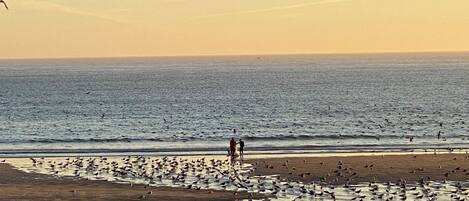 Platja