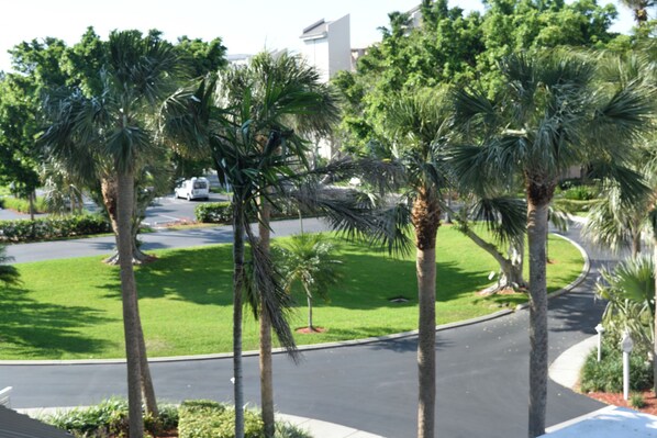 A street view with palm trees, a road, and a building in the background. - Prime Marco location with awesome view. (Marco Island)