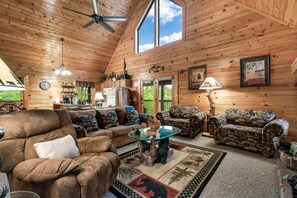 TV connectée, cheminée, jeux vidéo, livres