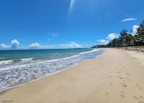 Une plage avec une eau d’un bleu limpide, un rivage sablonneux et des palmiers.