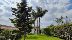 Un jardín bien cuidado con césped, árboles altos y seto.