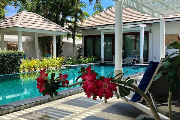 The 5 X 11 meter pool and surrounding terrace