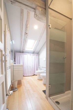 Ducha, secador de pelo, bidé y toallas