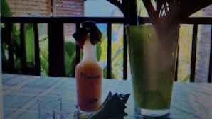 A television screen displaying a scene with a potted plant, a bottle, and a railing.