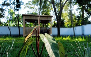 Property grounds - Serene retreat experience (Arusha)