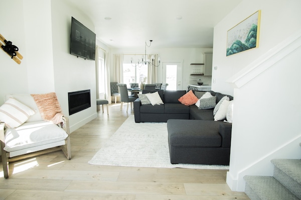 Smart TV, fireplace, books, printers