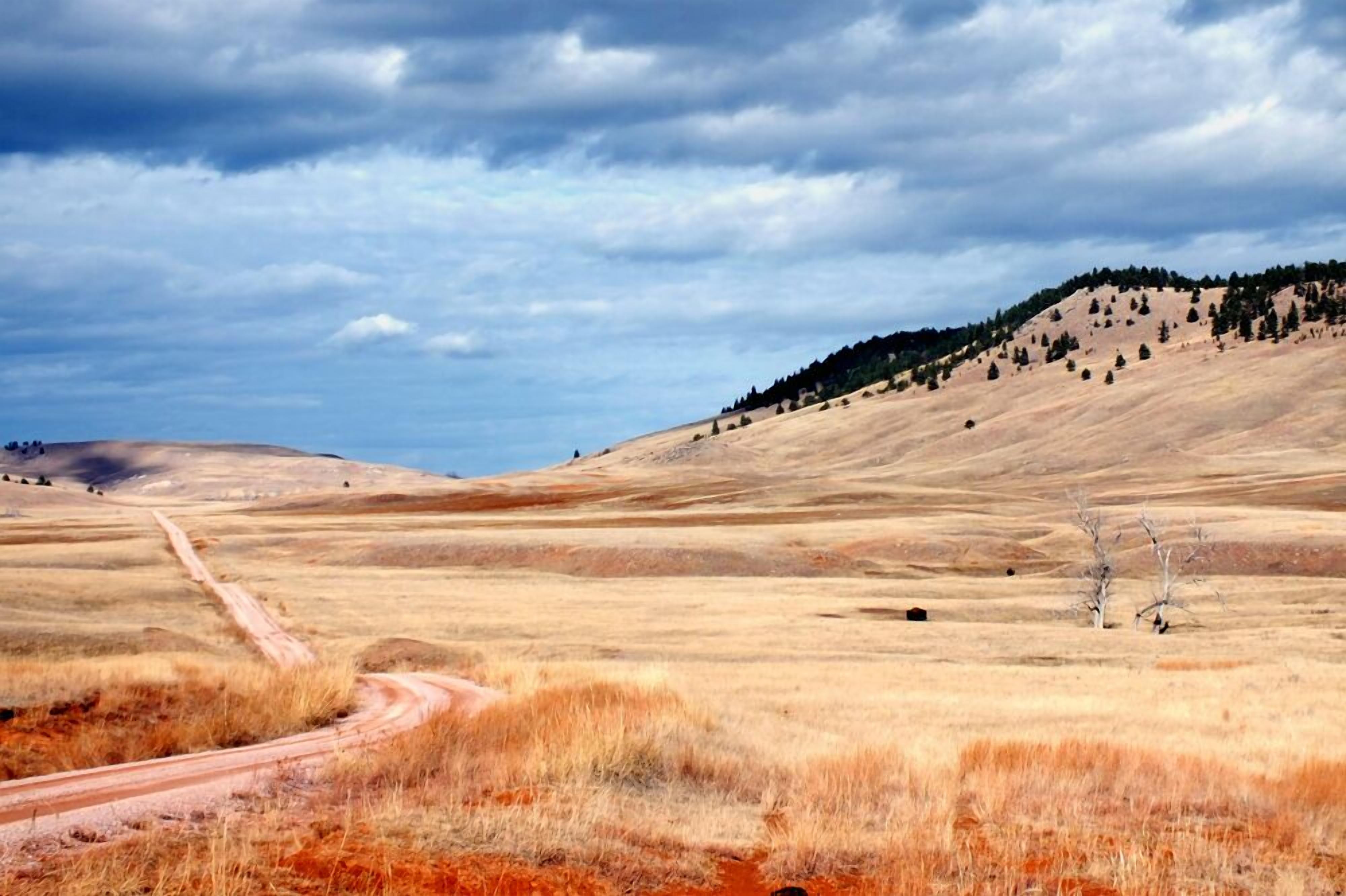 منوع