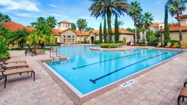 A swimming pool with lounge chairs, palm trees, and a clear blue sky.