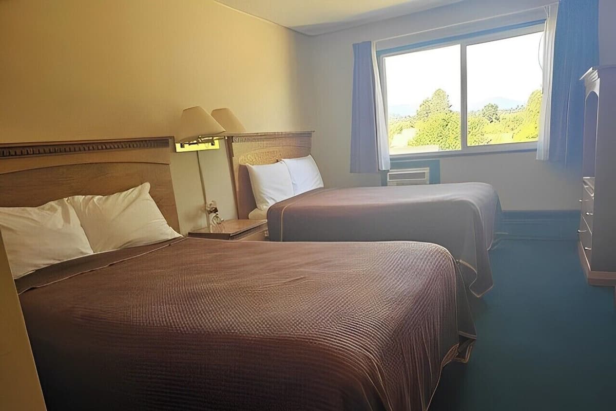 A hotel room with two beds, a nightstand with a lamp, a window with a view of greenery, and a blue carpet.