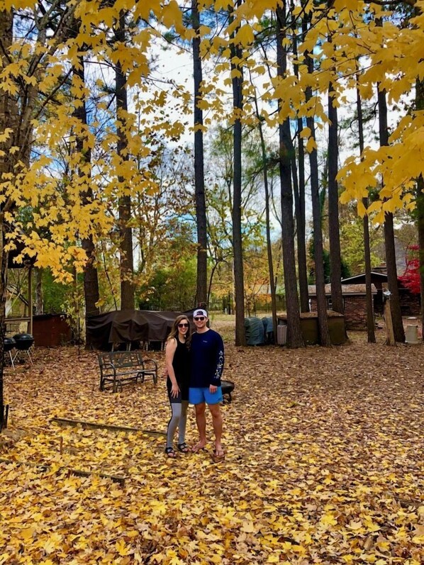 A couple standing in a forested area with yellow leaves on the ground. - Newland's Cabin 5 (Baxter County)