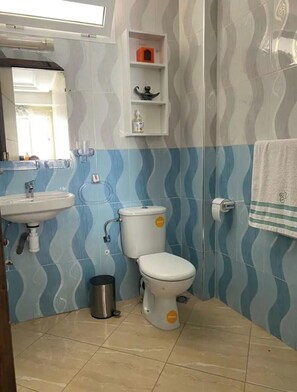 Shower, hair dryer, bidet, towels
