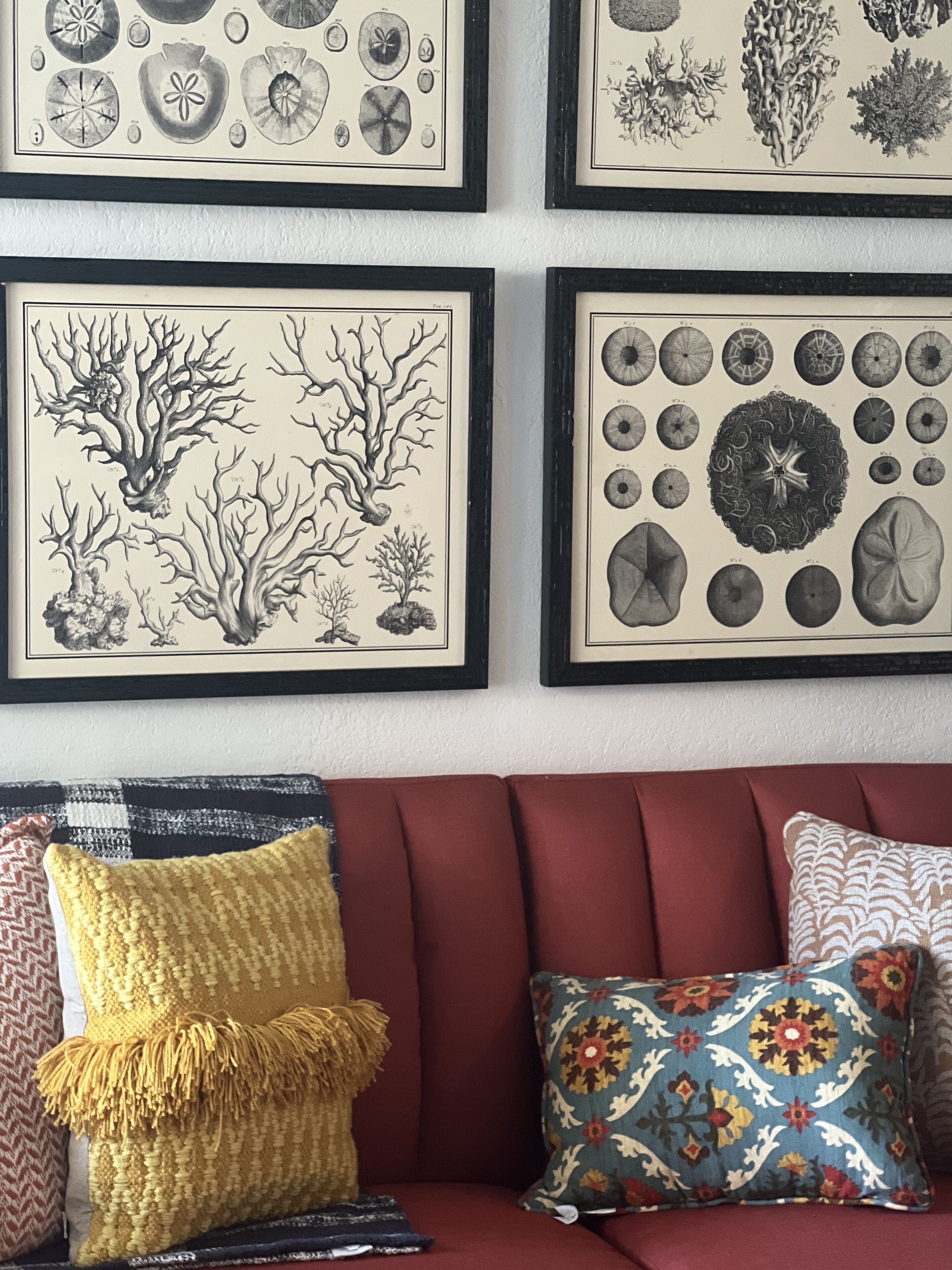 A wall with framed botanical illustrations and a red sofa with patterned cushions.