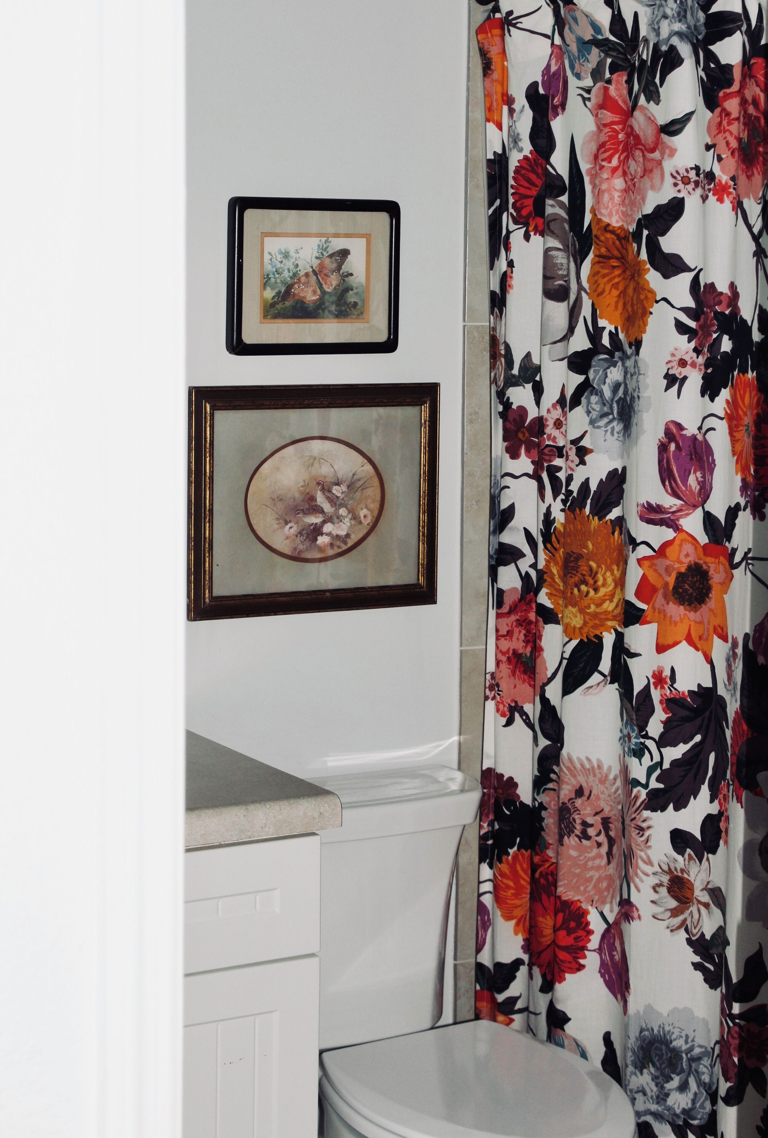 Une salle de bain avec des toilettes, un lavabo et un rideau de douche à motifs floraux. Deux tableaux encadrés sont accrochés au mur.