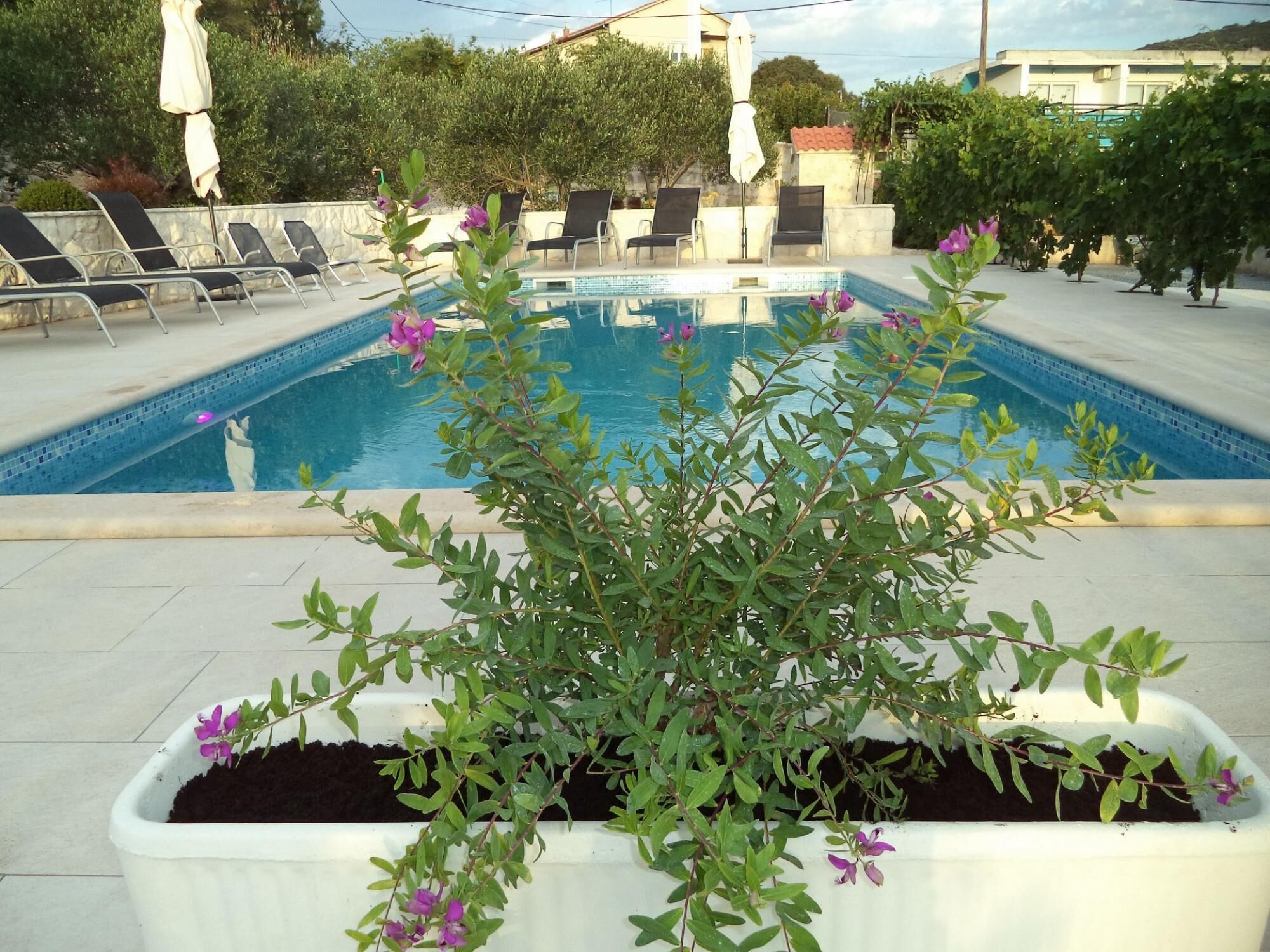 Apartment, Smoking | 3 bedrooms