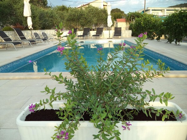 Căn hộ, hút thuốc | 3 phòng ngủ