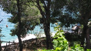 Apartment | 2 bedrooms - Accommodation in Coves Simi- Peacefull and Seaview (Milna)