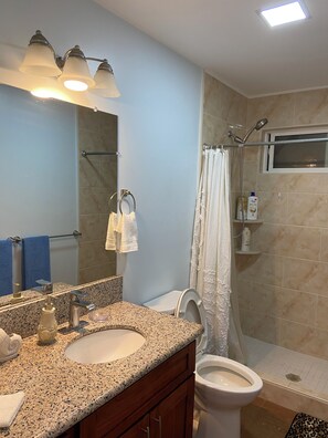 Une salle de bain avec un lavabo sur un plan de travail en granit, un miroir, des toilettes, une douche avec une porte en verre et un porte-serviettes.