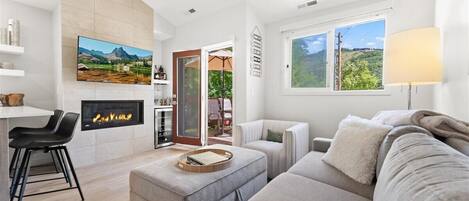 Smart TV, fireplace, books, stereo