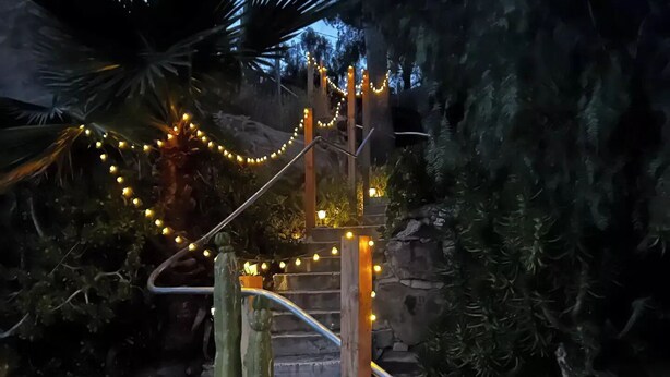 Una escalera con luces colgantes, rodeada de follaje y un muro de piedra.