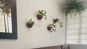 A living room with a brown sofa, a white mug with a cow design, and several potted plants on the wall.