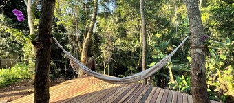 Monkey Lodge - House in the forest 