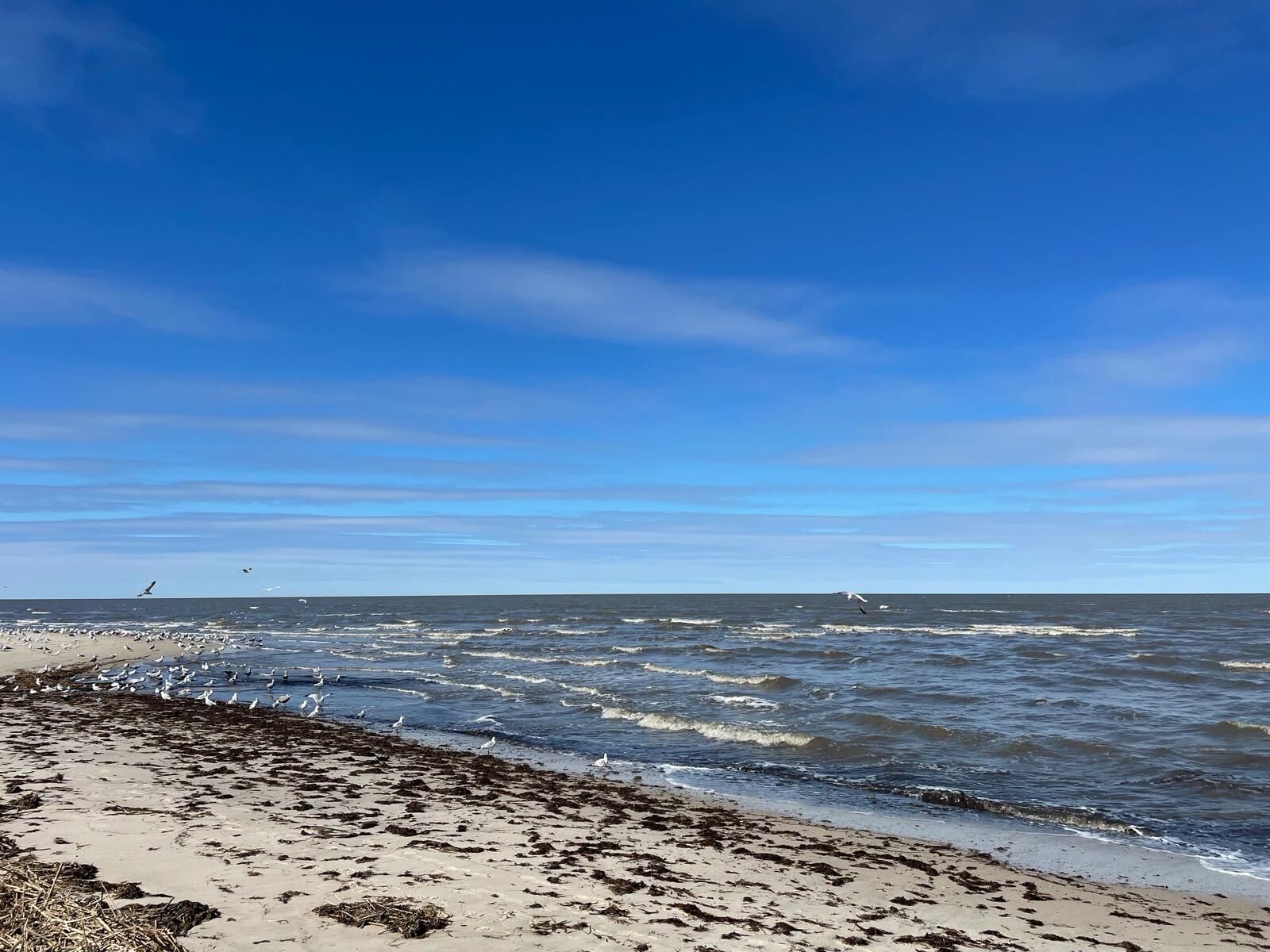 Vlak bij het strand, ligstoelen aan het strand