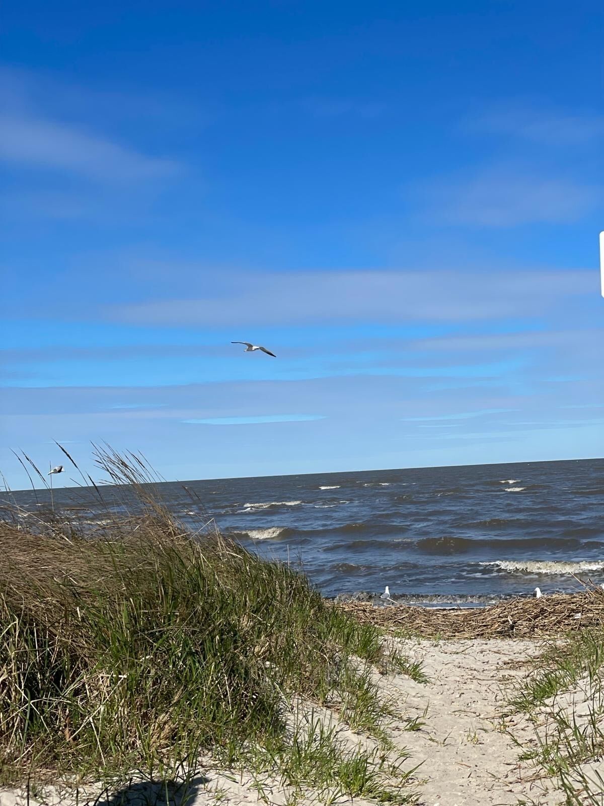 Tæt på stranden, liggestole