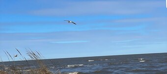 Cozy, Pet friendly Coastal Cottage with a private Hot Tub in Cape May county