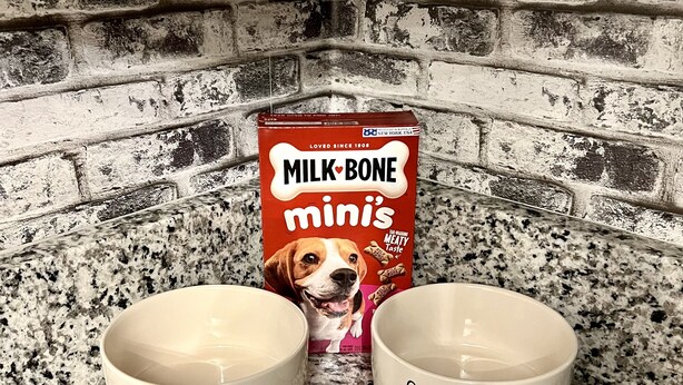 Deux bols blancs portant les inscriptions « SIP » et « SAVOR » sont posés sur un comptoir en granit, et en arrière-plan, on aperçoit un emballage de lait sur lequel est écrit « MILK BONE mini’s ».