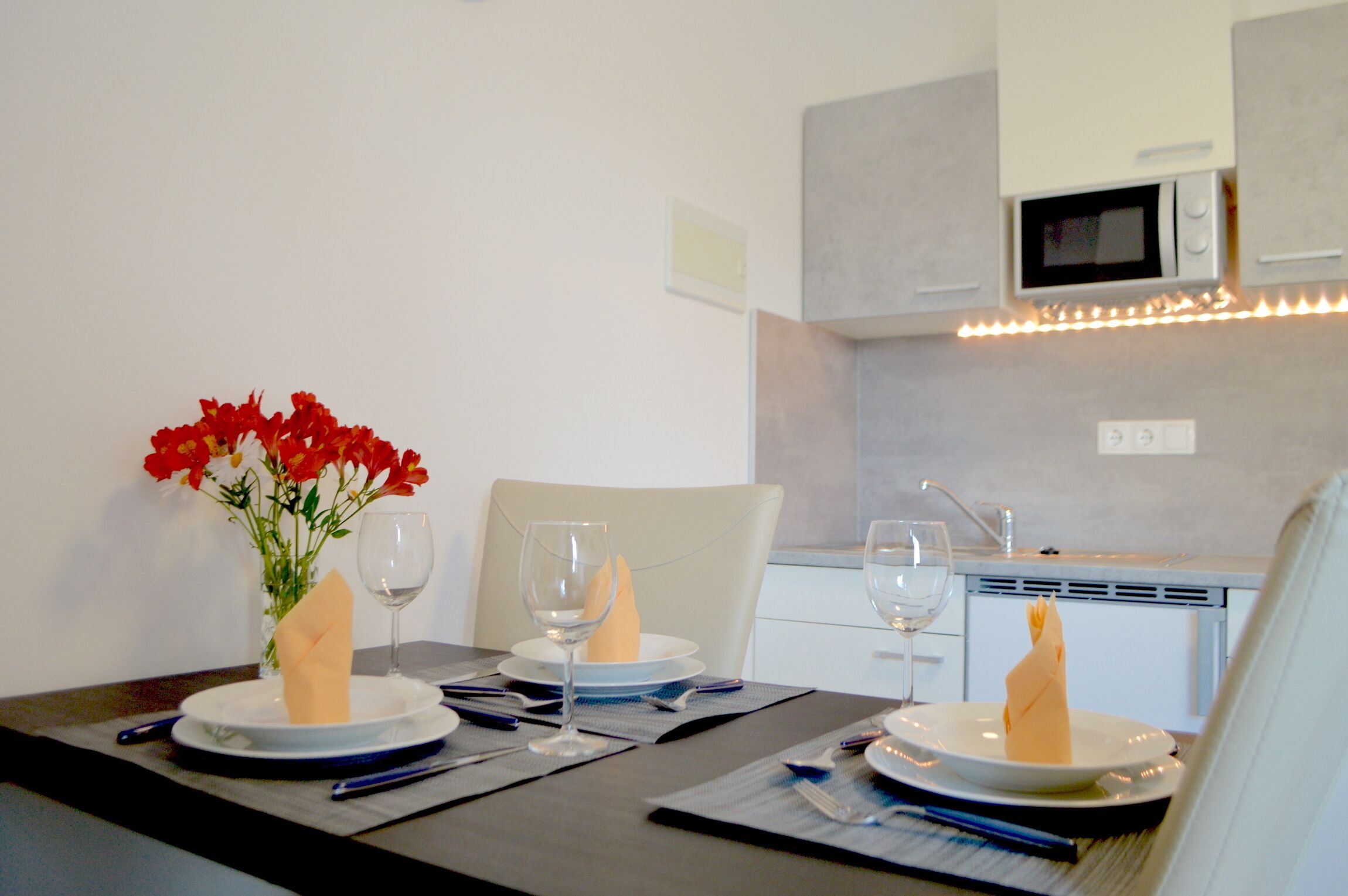Apartment, 1 Bedroom, Smoking, Terrace | Private kitchen
