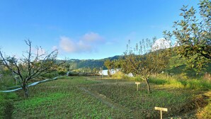 A rural landscape with a field of crops, a small tree, and a sign indicating 'PEAS'. - Dyo - The Organic Village Resort (Dhari)