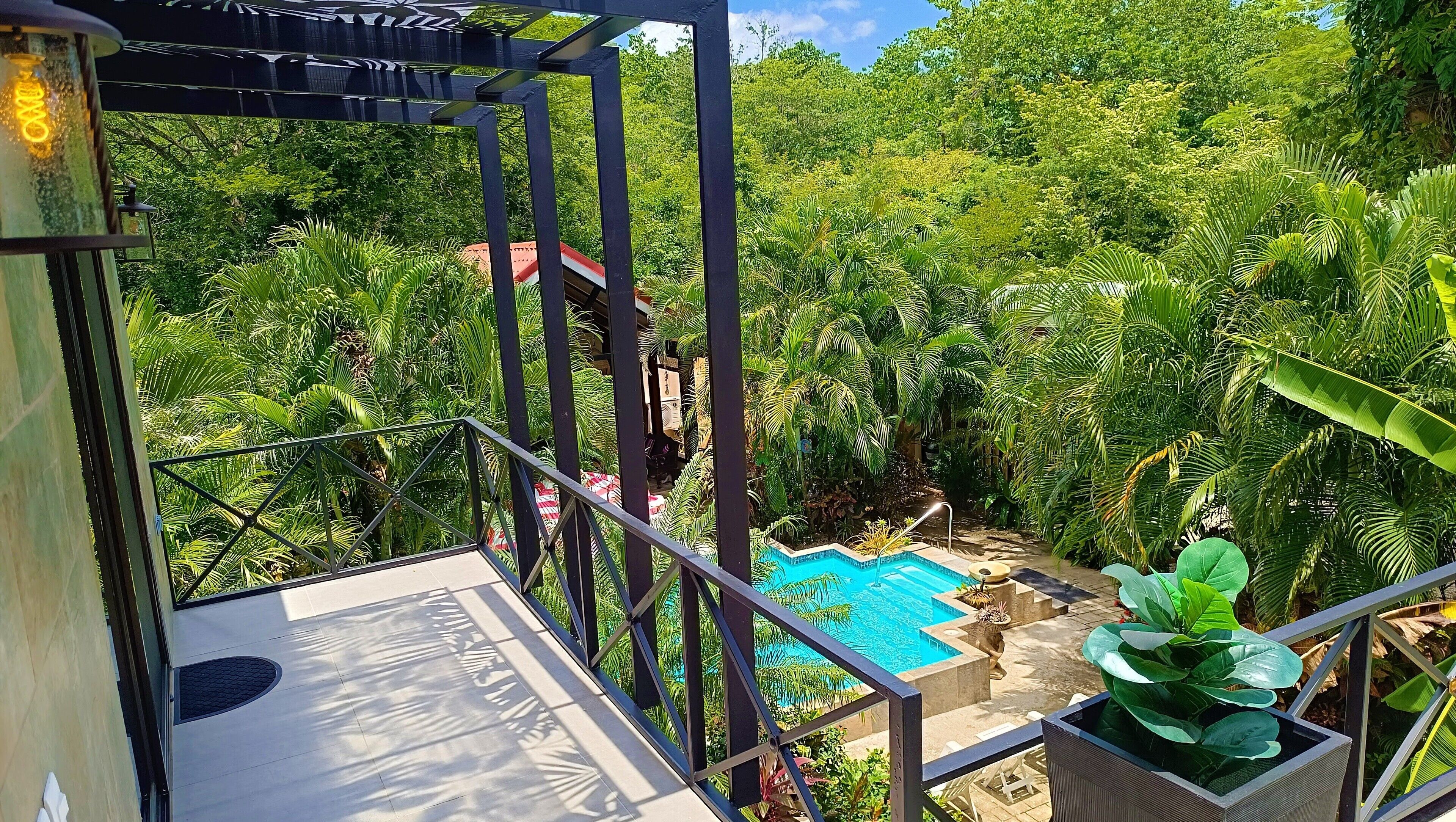 A pool area surrounded by lush greenery, with a metal railing and a pergola overhead.