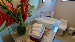 Shower, hair dryer, towels, soap