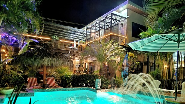 Un espace piscine agrémenté d’un élément décoratif aquatique, de chaises longues et de plantes tropicales.