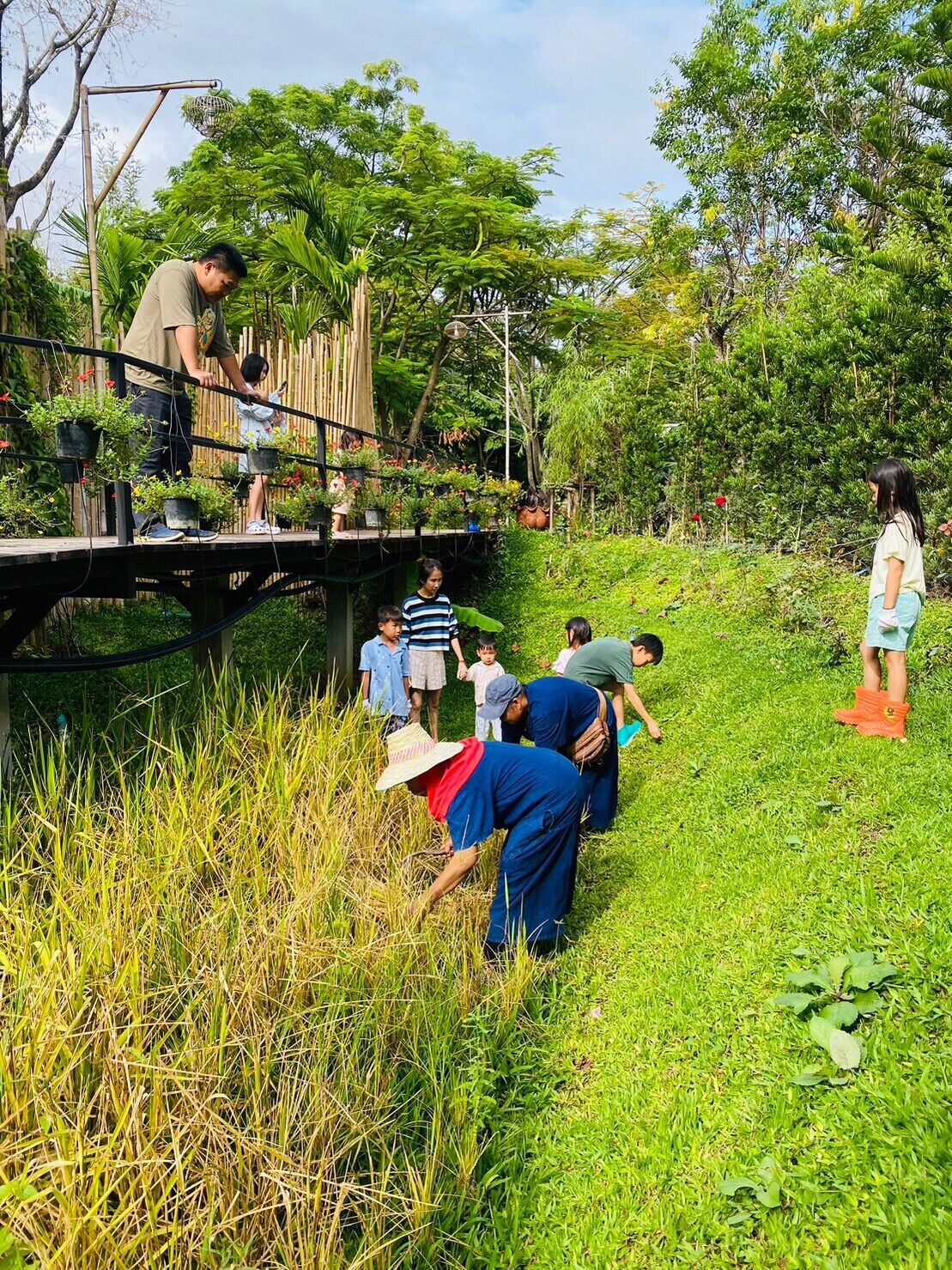 A group of people on a bridge surrounded by lush greenery and plants.