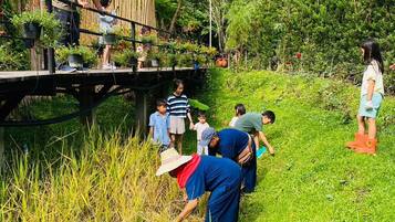 Um grupo de pessoas em uma ponte, cercado por vegetação exuberante e plantas.