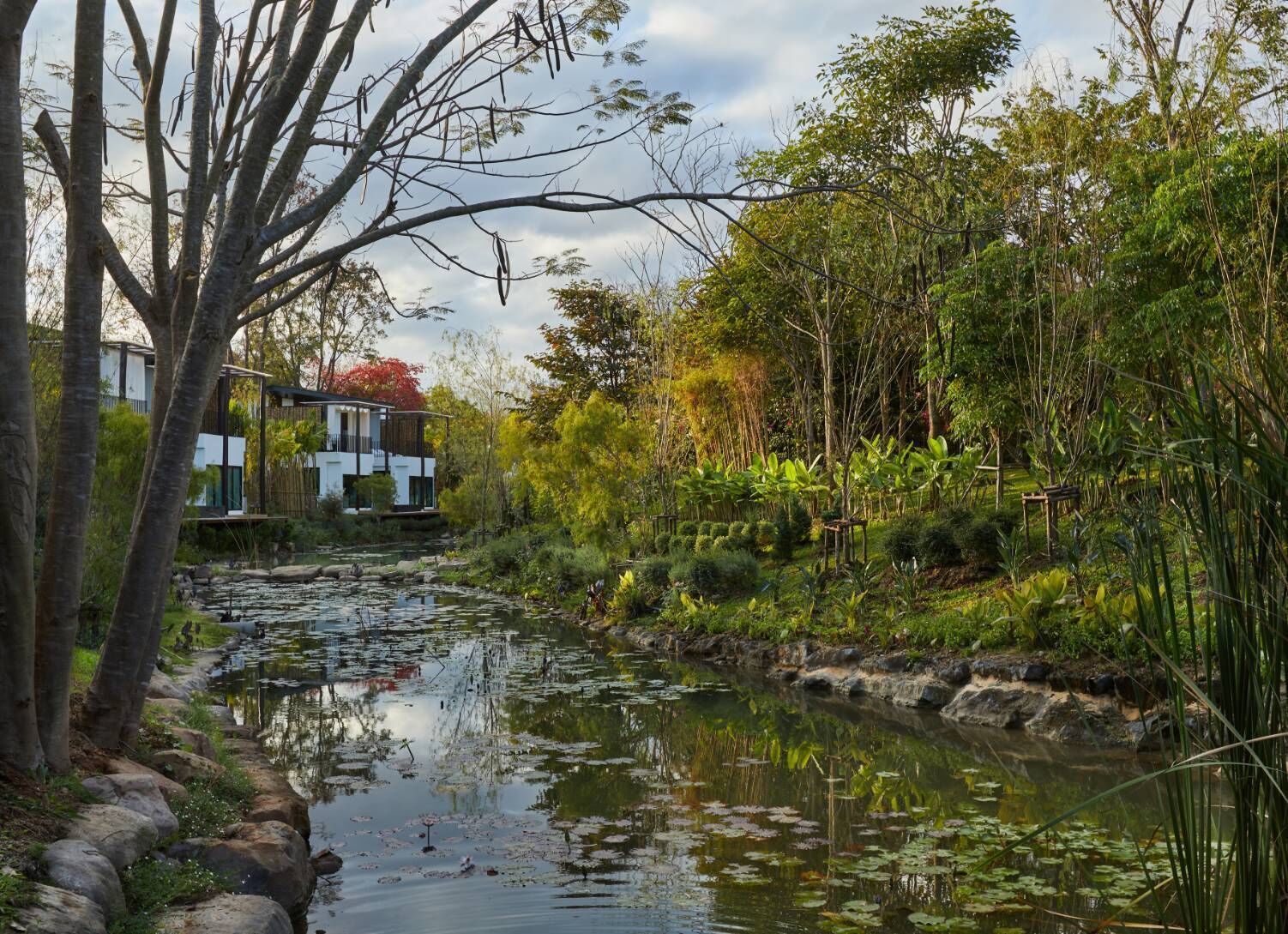 A serene riverside garden with a modern house, lush greenery, and a calm water body.