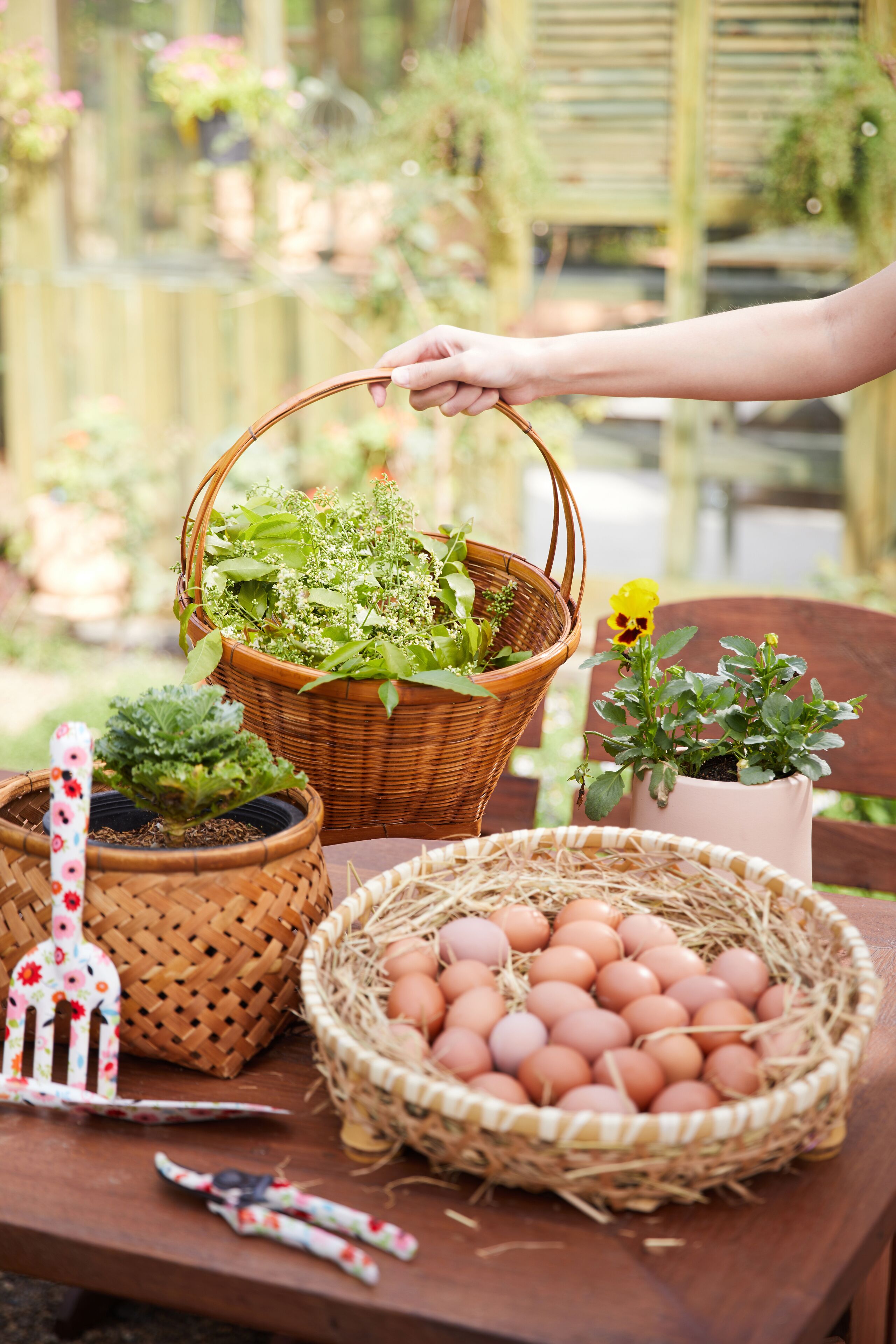 A wooden table with a basket of eggs, a potted plant, and a small decorative item.