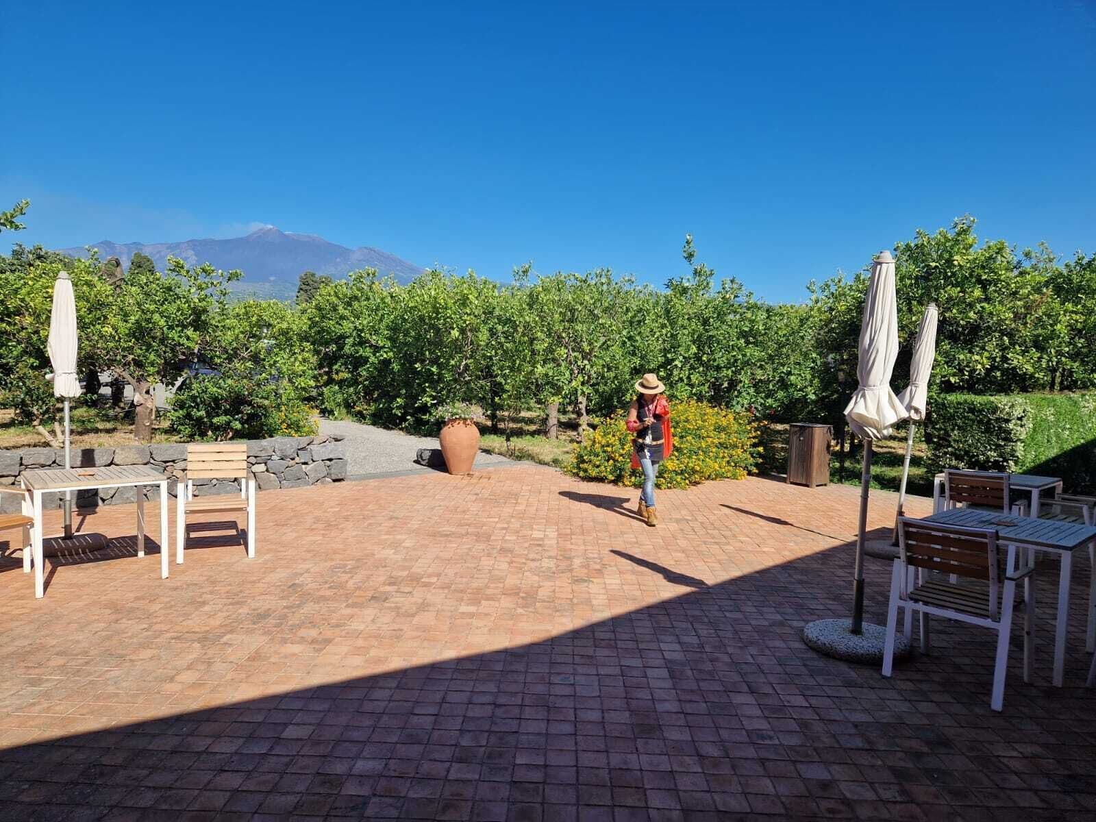 An outdoor patio with brick flooring, white tables and chairs, and umbrellas.