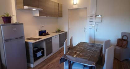 Deux piĂšces centre Lourdes 5 personnes