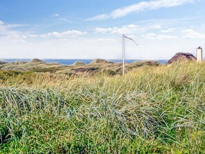 A coastal landscape with grassy terrain and a lighthouse in the distance.